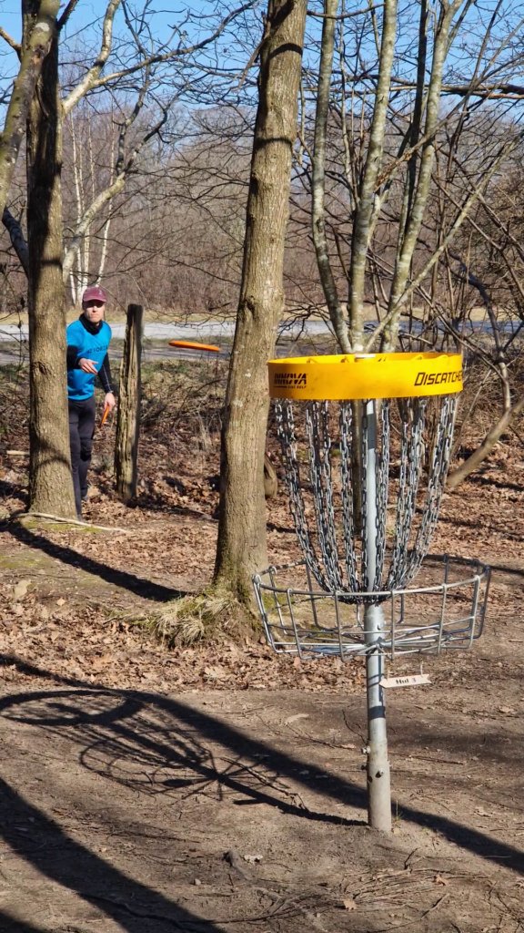 Disc Golfer putter på kurv